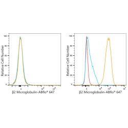 ABflo® 647 Rabbit anti-Human β2 Microglobulin mAb