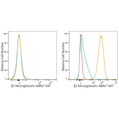ABflo® 647 Rabbit anti-Human β2 Microglobulin mAb