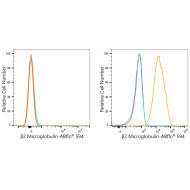 ABflo® 594 Rabbit anti-Human β2 Microglobulin mAb