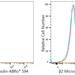 ABflo® 594 Rabbit anti-Human β2 Microglobulin mAb