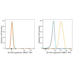 ABflo® 594 Rabbit anti-Human β2 Microglobulin mAb