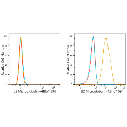 ABflo® 594 Rabbit anti-Human β2 Microglobulin mAb