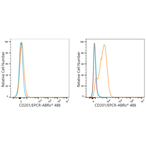 ABflo® 488 Rabbit anti-Human CD201/EPCR mAb