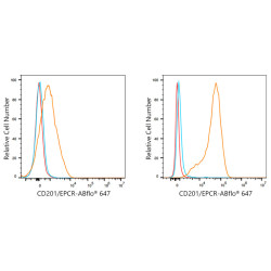ABflo® 647 Rabbit anti-Human CD201/EPCR mAb