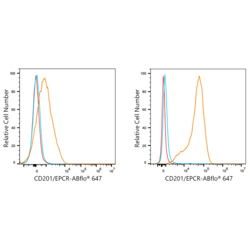ABflo® 647 Rabbit anti-Human CD201/EPCR mAb
