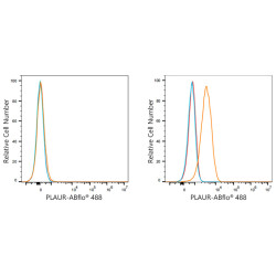 ABflo® 488 Rabbit anti-Human CD87 mAb