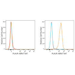 ABflo® 647 Rabbit anti-Human CD87 mAb