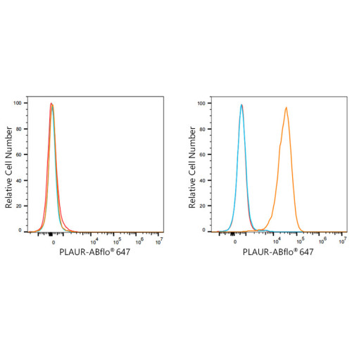ABflo® 647 Rabbit anti-Human CD87 mAb
