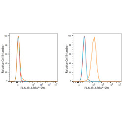 ABflo® 594 Rabbit anti-Human CD87 mAb