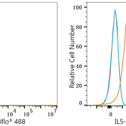 ABflo® 488 Rabbit anti-Human IL-5 mAb