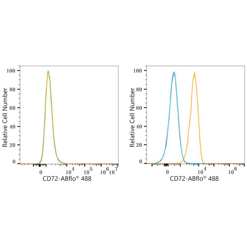 ABflo® 488 Rabbit anti-Human CD72 mAb