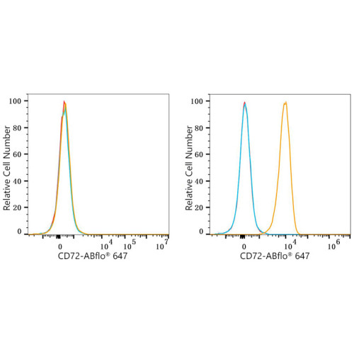 ABflo® 647 Rabbit anti-Human CD72 mAb