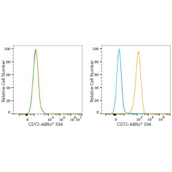 ABflo® 594 Rabbit anti-Human CD72 mAb