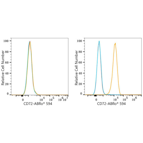 ABflo® 594 Rabbit anti-Human CD72 mAb