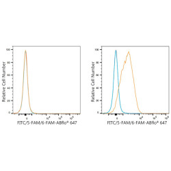 ABflo® 647 Rabbit anti-FITC/5-FAM/6-FAM mAb