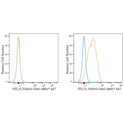 ABflo® 647 Rabbit anti-FITC/5-FAM/6-FAM mAb