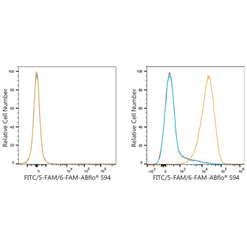 ABflo® 594 Rabbit anti-FITC/5-FAM/6-FAM mAb