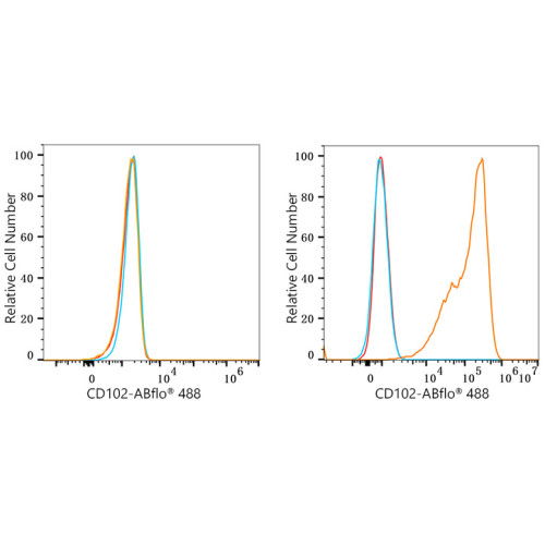 ABflo® 488 Rabbit anti-Mouse CD102/ICAM-2 mAb