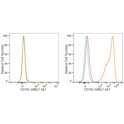 ABflo® 647 Rabbit anti-Mouse CD102/ICAM-2 mAb