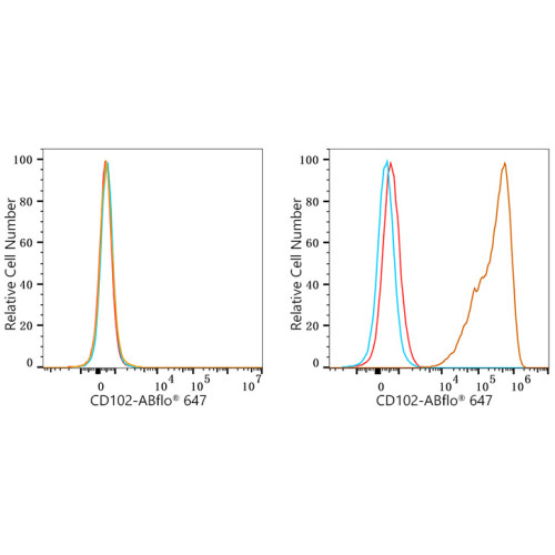 ABflo® 647 Rabbit anti-Mouse CD102/ICAM-2 mAb