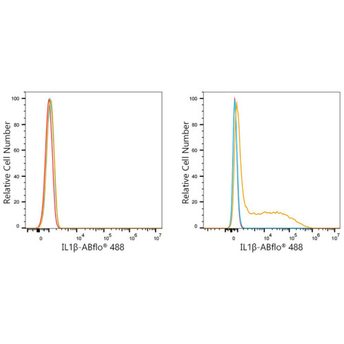 ABflo® 488 Rabbit anti-Human IL-1β mAb