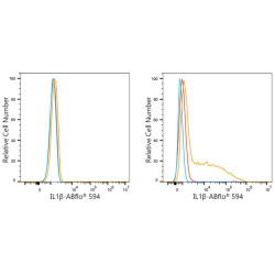 ABflo® 594 Rabbit anti-Human IL-1β mAb