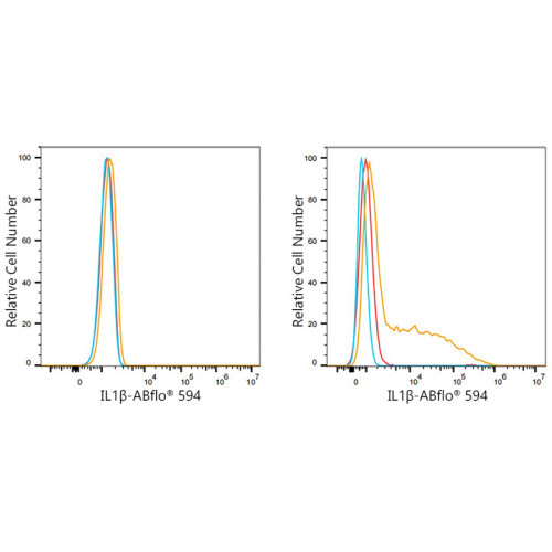ABflo® 594 Rabbit anti-Human IL-1β mAb