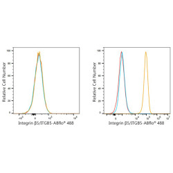 ABflo® 488 Rabbit anti-Human Integrin β5/ITGB5 mAb