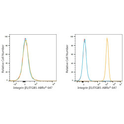 ABflo® 647 Rabbit anti-Human Integrin β5/ITGB5 mAb