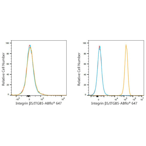 ABflo® 647 Rabbit anti-Human Integrin β5/ITGB5 mAb