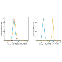 ABflo® 594 Rabbit anti-Human Integrin β5/ITGB5 mAb