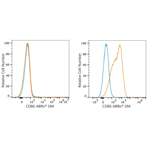 ABflo® 594 Rabbit anti-Human/Monkey CD86 mAb