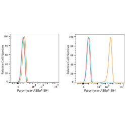 ABflo® 594 Rabbit anti-puromycin mAb