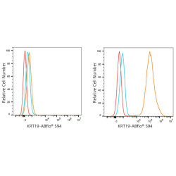 ABflo® 594 Rabbit anti-Human Cytokeratin 19/KRT19 mAb