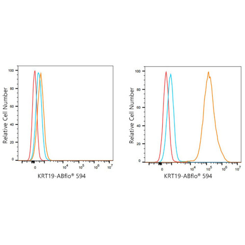 ABflo® 594 Rabbit anti-Human Cytokeratin 19/KRT19 mAb