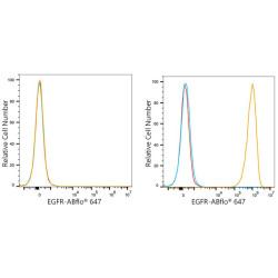 ABflo® 647 Rabbit anti-Human EGFR mAb