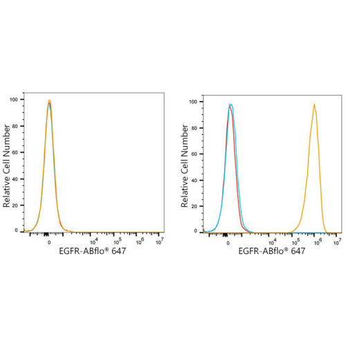 ABflo® 647 Rabbit anti-Human EGFR mAb