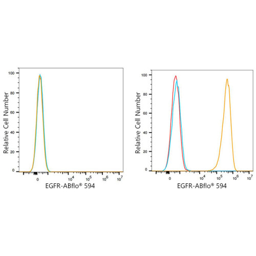 ABflo® 594 Rabbit anti-Human EGFR mAb