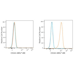 ABflo® 488 Rabbit anti-Human CD244/2B4 mAb