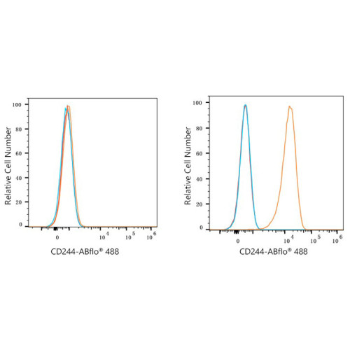 ABflo® 488 Rabbit anti-Human CD244/2B4 mAb