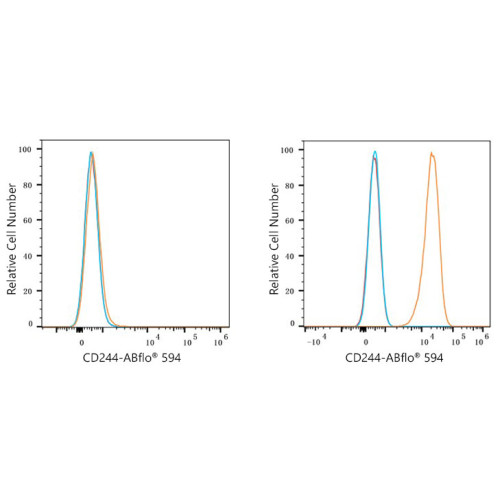 ABflo® 594 Rabbit anti-Human CD244/2B4 mAb