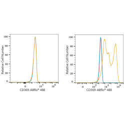 ABflo® 488 Rabbit anti-Human CD369/Dectin-1 mAb