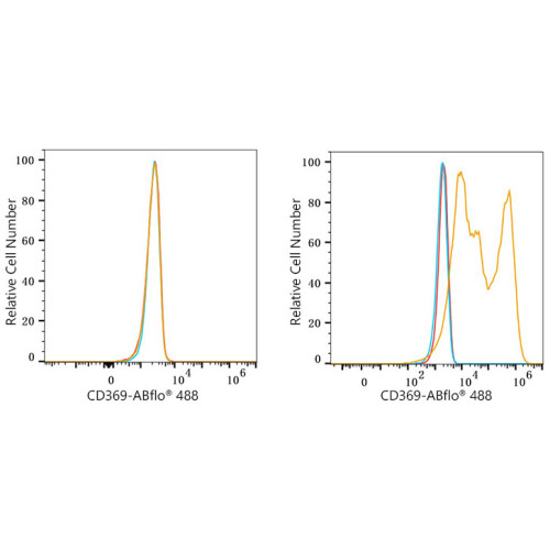 ABflo® 488 Rabbit anti-Human CD369/Dectin-1 mAb