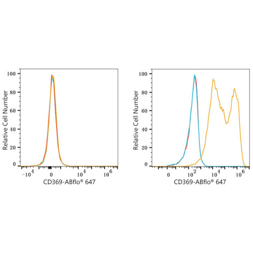 ABflo® 647 Rabbit anti-Human CD369/Dectin-1 mAb