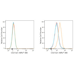 ABflo® 488 Rabbit anti-Human CD213a1/IL-13Rα1 mAb