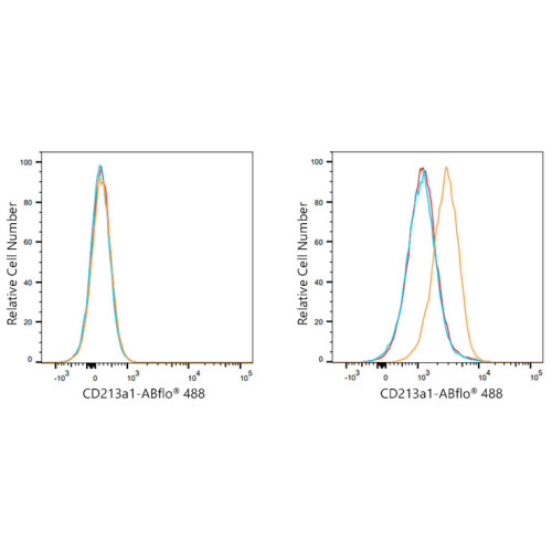 ABflo® 488 Rabbit anti-Human CD213a1/IL-13Rα1 mAb