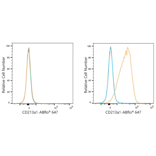ABflo® 647 Rabbit anti-Human CD213a1/IL-13Rα1 mAb