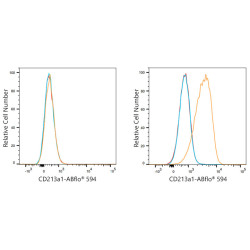 ABflo® 594 Rabbit anti-Human CD213a1/IL-13Rα1 mAb