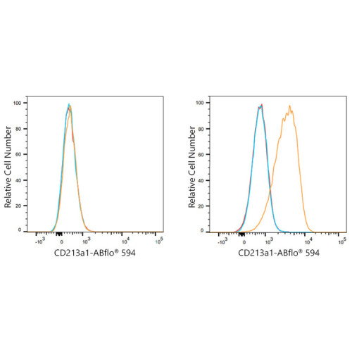 ABflo® 594 Rabbit anti-Human CD213a1/IL-13Rα1 mAb