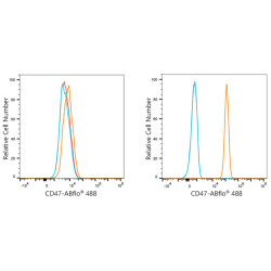 ABflo® 488 Rabbit anti-Human CD47 mAb